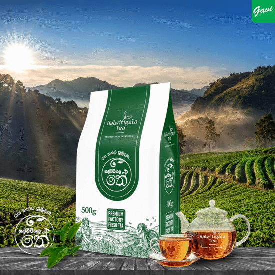 Modern Tea Packaging Design