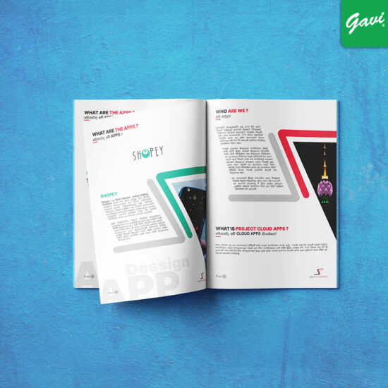 Startup Company Profile Design