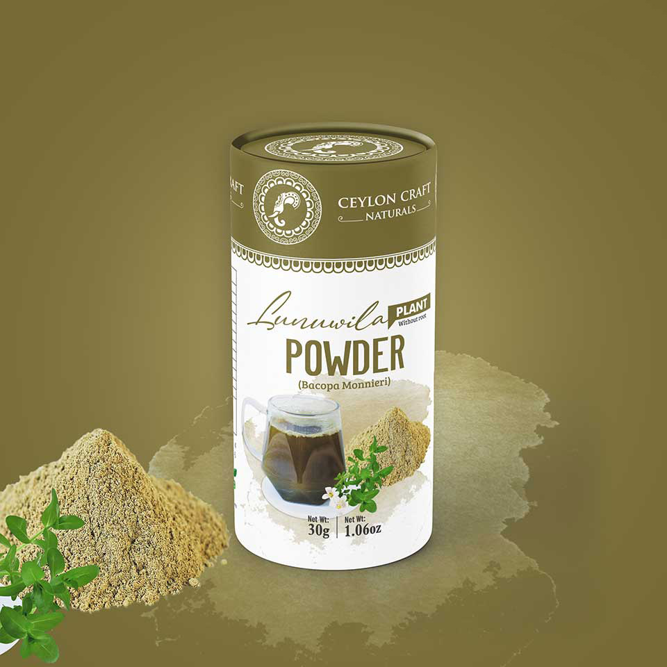 Export Business Logo design